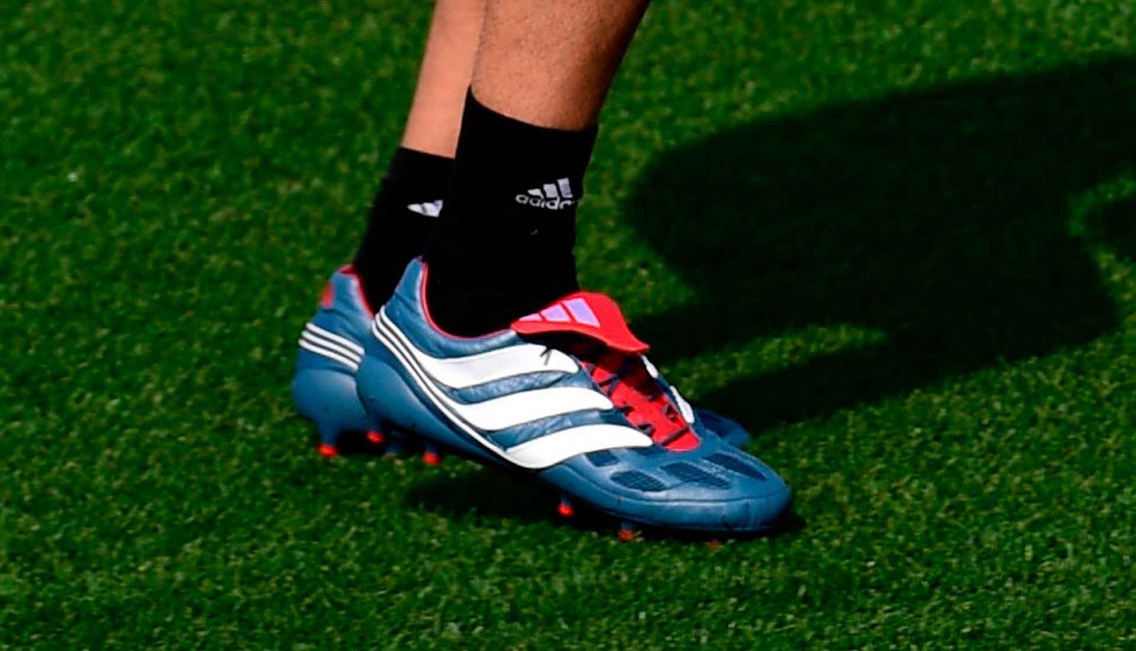 Predator 2025 precision 219